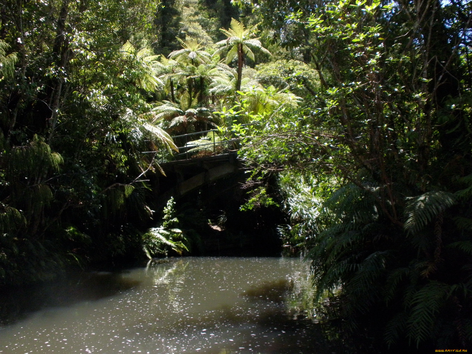 upper, nihotupu, new, zealand, , , , , , , 